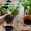 Substral Kompakte Blumenerde 625 g ergibt 10L Kokoserde Produktbild-Vorschau 7