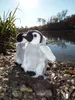 Cucciolo di pinguino in peluche 18 cm Anteprima dell’immagine prodotto 2