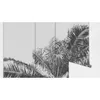 Coloray Fototapete 250x104 cm Latextapete Magicstick - Palm Produktbild-Vorschau 4