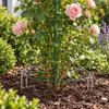 Support pour plantes KADAX 44–128 cm, spirale en acier Voir les images du produit 8