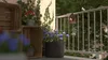 Alberts 355074 Maisonnette pour oiseaux toit pointu, Voir les images du produit 5