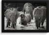 MuchoWow® MuchoWow® Gerahmtes Poster Elefant - Tiere - Produktbild-Vorschau 1