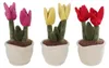 Großhandel GmbH - Ware Take Me Home - Tulpen Plüsch, 3-fach Produktbild-Vorschau 2