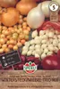 SPERLI Wintersteckzwiebel Trio-Mix Allium cepa 50 Zwiebeln Produktbild-Vorschau 3