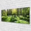 Acrylglasbilder 125x50 Wandbild Druck Wald Natur Produktbild-Vorschau 1