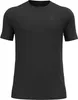 Odlo Natural Merino 160 Base-Layer-Shirt Herren | Produktbild-Vorschau 9