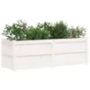 vidaXL Pflanzkübel Weiß 150x50x50 cm Massivholz Kiefer Produktbild-Vorschau 4