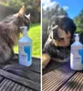 Lachsöl für Hunde und Katzen Irodori Vet 1000ml Produktbild-Vorschau 17