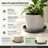 Pflanztopfuntersetzer Mira Anthrazit Ø 24cm - Frostsicher & Produktbild-Vorschau 5