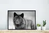 MuchoWow® MuchoWow® Gerahmtes Poster Schwarzer Wolf in Produktbild-Vorschau 5