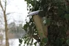 Cassetta nido Esschert Design per giardino; NKBK Anteprima dell’immagine prodotto 9