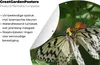MuchoWow® Produktbild-Vorschau 4