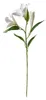 Clayre & Eef Fleur artificielle 71 cm blanc plastique Voir les images du produit 2