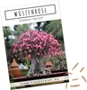 Außergewöhnliche Bonsai Samen mit hoher Keimrate - Pflanzen Produktbild-Vorschau 1
