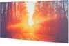 A sunbeam shines through a forest, creating a warm and inviting atmosphere. Náhled obrázku produktu