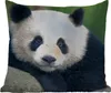 MuchoWow® Outdoor Kissen - Panda - Wildtiere - Porträt - Produktbild-Vorschau 1