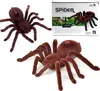Aga Diaľkovo ovládaný pavúk TARANTULA hnedý Náhľad obrázku produktu 1