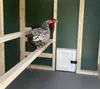 Großer Hühnerstall EZ Chicken Home Rot, 2,85 m² - Produktbild-Vorschau 25