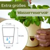 Kräutertopf mit Bewässerungssystem Kräutertopf Küche Produktbild-Vorschau 6