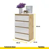 Commode haute avec 4 tiroirs - Chêne Wotan / Blanc brillant Voir les images du produit 6
