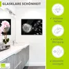 ARTland Glasbild Pusteblume Größe: 60x45 cm Produktbild-Vorschau 2