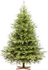 FAIRYTREES Albero di Natale 180 cm Nordman Esclusivo 100% Anteprima dell’immagine prodotto 1