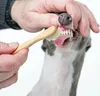 Redecker Holzzahnbürste, groß Voir les images du produit 4