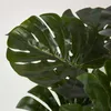 HOMESCAPES Monstera umělá rostlina v květináči - 60 cm Náhled obrázku produktu 4