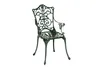 A single green ornate chair on a white background. Náhled obrázku produktu