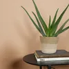 Bloomique - Geflochtener Blumentopf Gaby - Set mit 4 Töpfen Produktbild-Vorschau 4