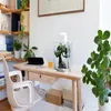 A desk with a laptop, a small aquarium, and a plant. Anteprima dell’immagine prodotto