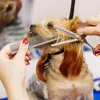 Hundekamm Haustierbürste, Edelstahl Unterfellbürste Produktbild-Vorschau 5