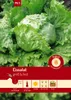 Artikelbild 1 von 'Eissalat Lakes' aus der Kategorie Eissalatsamen Produktbild-Vorschau