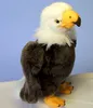 A stuffed toy bald eagle against a blue background. Voir les images du produit
