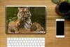 MuchoWow® Laptop Aufkleber Sticker Cover Tiger - Jungtiere Produktbild-Vorschau 2