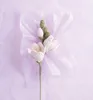Romantische Blumen häkeln Produktbild-Vorschau 5