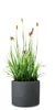 Scheurich Panzano 50, Pflanzgefäß/Blumentopf/Pflanzkübel, Produktbild-Vorschau 4