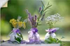 ARTland Wandbild, selbstklebend Sommer Potpourri mit feinen Produktbild-Vorschau 1