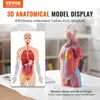 VEVOR Model lidského těla, 23 kusů 455 mm, anatomický model Náhled obrázku produktu 2