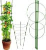 Verk 01894 Kruhová podpera rastlín 60 cm Náhľad obrázku produktu 1