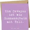 Mr. & Mrs. Panda Glückwunschkarte Spruch Cavapoo Produktbild-Vorschau 1