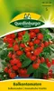 Balkontomate, Balkonzauber Produktbild-Vorschau 1