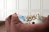 Cozy Dog, knuffel voor honden, konijn, roze Productafbeelding-voorbeeld 10
