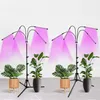 Lampa Do Wzrostu Roślin Plant Growth Supplement Light Lamp Podgląd zdjęcia produktu 3