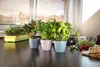 Plastkon product s.r.o. Opakowanie Ella mat 25 cm, biały Podgląd zdjęcia produktu 5