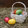 COM-FOUR® 200g Bergwiesenheu für Osternester - Osterdeko Produktbild-Vorschau 2