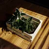 A white wooden crate filled with green plants sits on a wooden floor, with sunlight casting striped shadows. Náhľad obrázku produktu