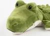 A close-up shot of a plush toy crocodile on a white background. Podgląd zdjęcia produktu