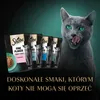 Delizie SHEBA con gusto di pesce in gelatina - cibo umido Anteprima dell’immagine prodotto 13