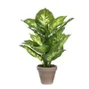 Mica Decorations Dieffenbachia pianta artificiale in vaso Anteprima dell’immagine prodotto 10